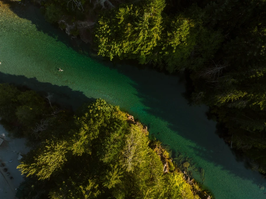 A woman floats on her back along a green river that is surrounded on both sides by thick forest