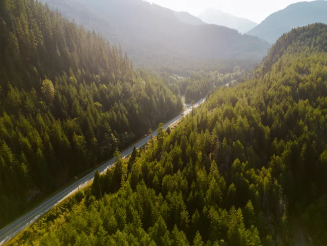 A straight paved highway cuts through a dense forest on Vancouver Island, BC