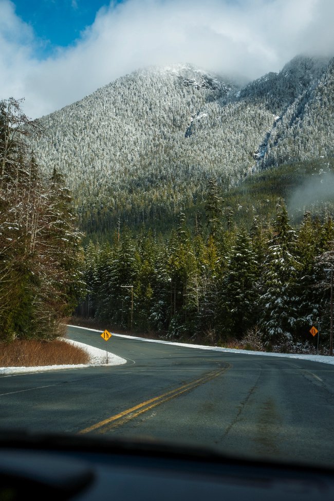 9 Stops You Need to Make Along Highway 4 on the Way to Tofino