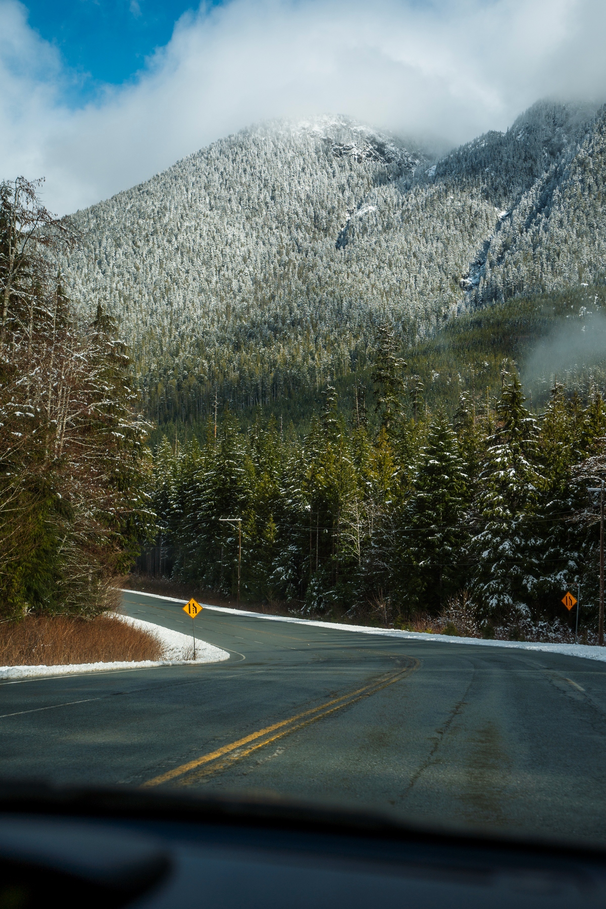 7 Stops You Need to Make Along Highway 4 on the Way to Tofino