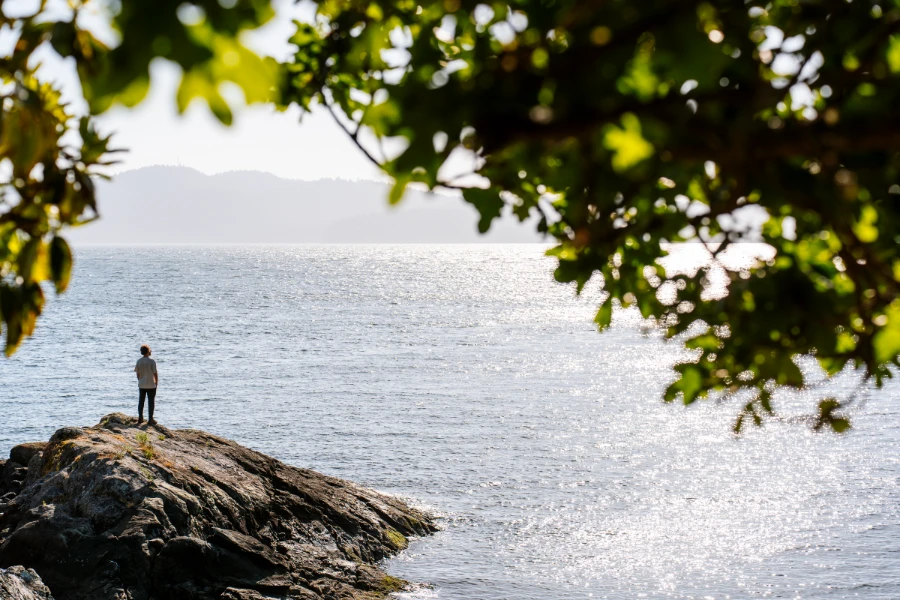 A man stands on a a rocky outcropping framed by green leaves and surrounded by sparkling water
