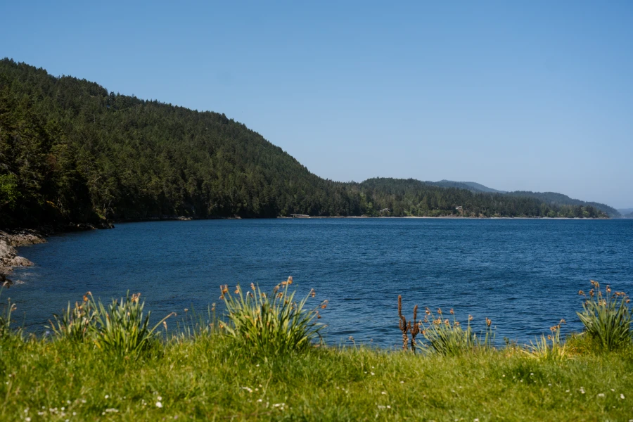 A flat patch of grass sits on top of a small cliff above the ocean where a small bay is protected by tree covered shores