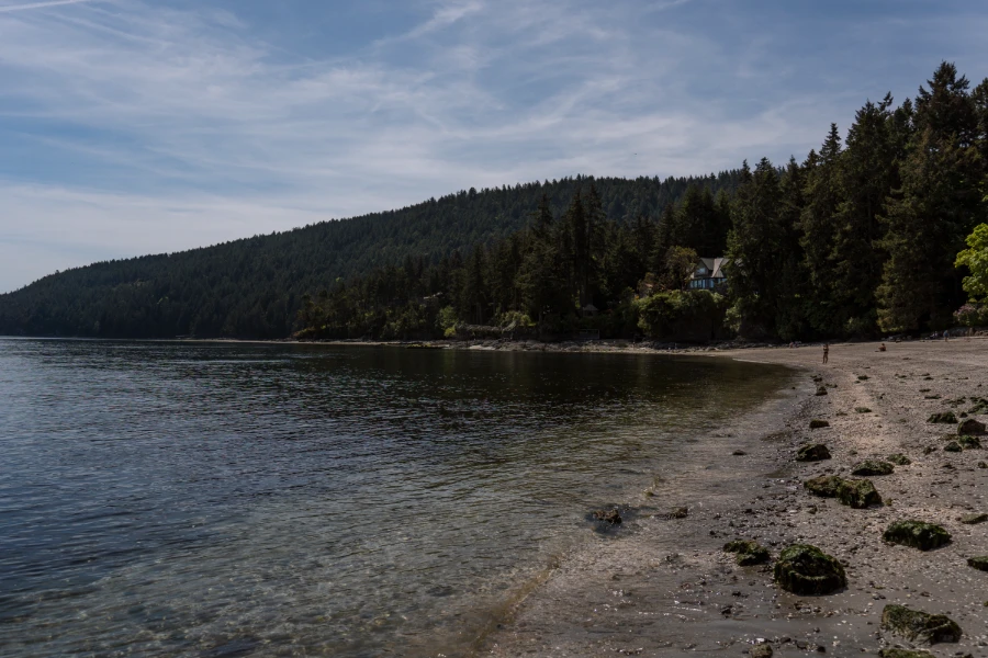 Calm water borders a sandy beach that is lined with trees far along the coast