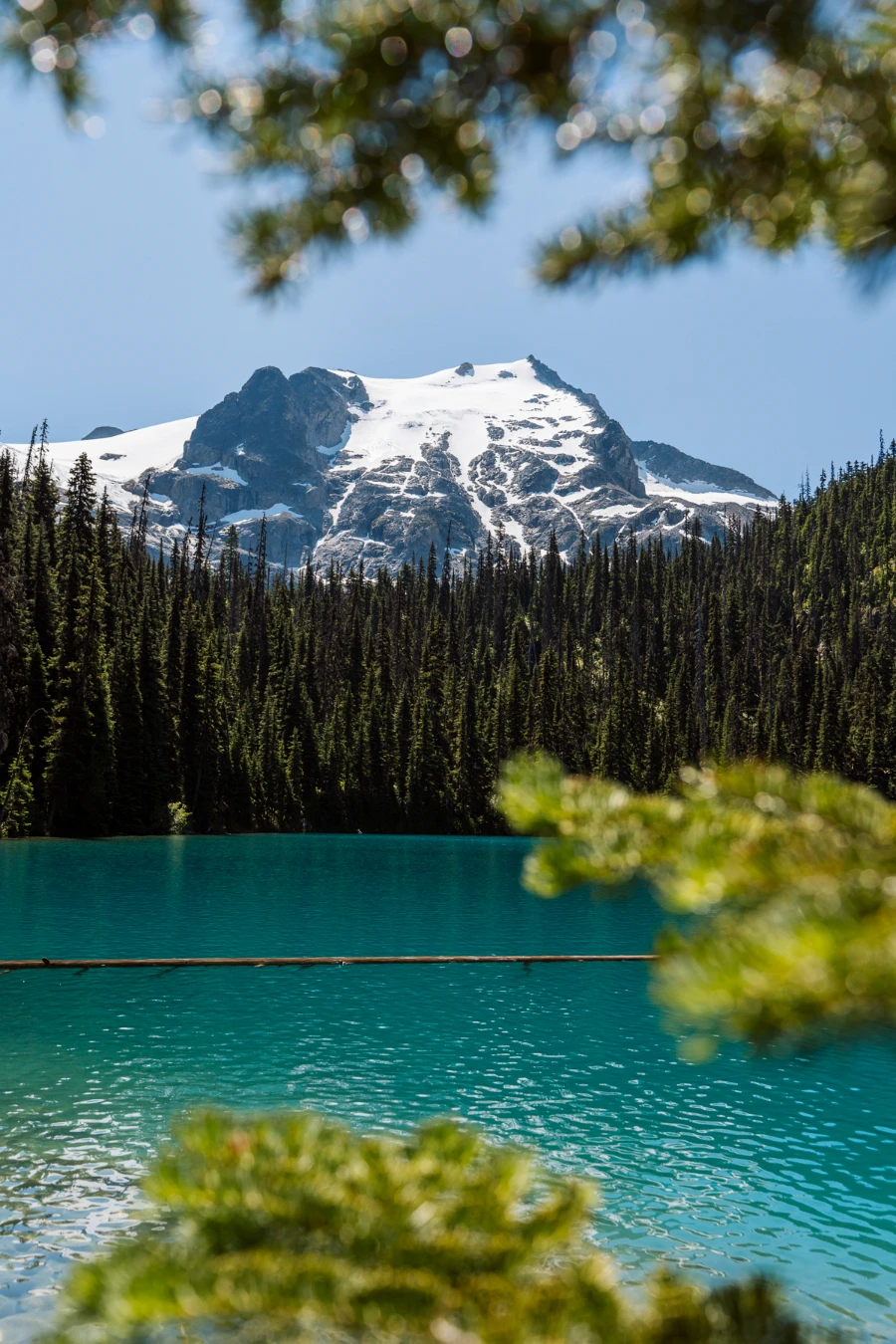 Image related to hiking ethics