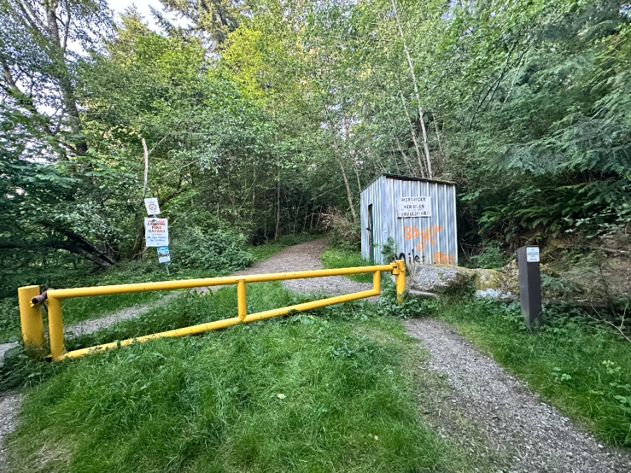 A yellow gate stands before a trail leading into the forest