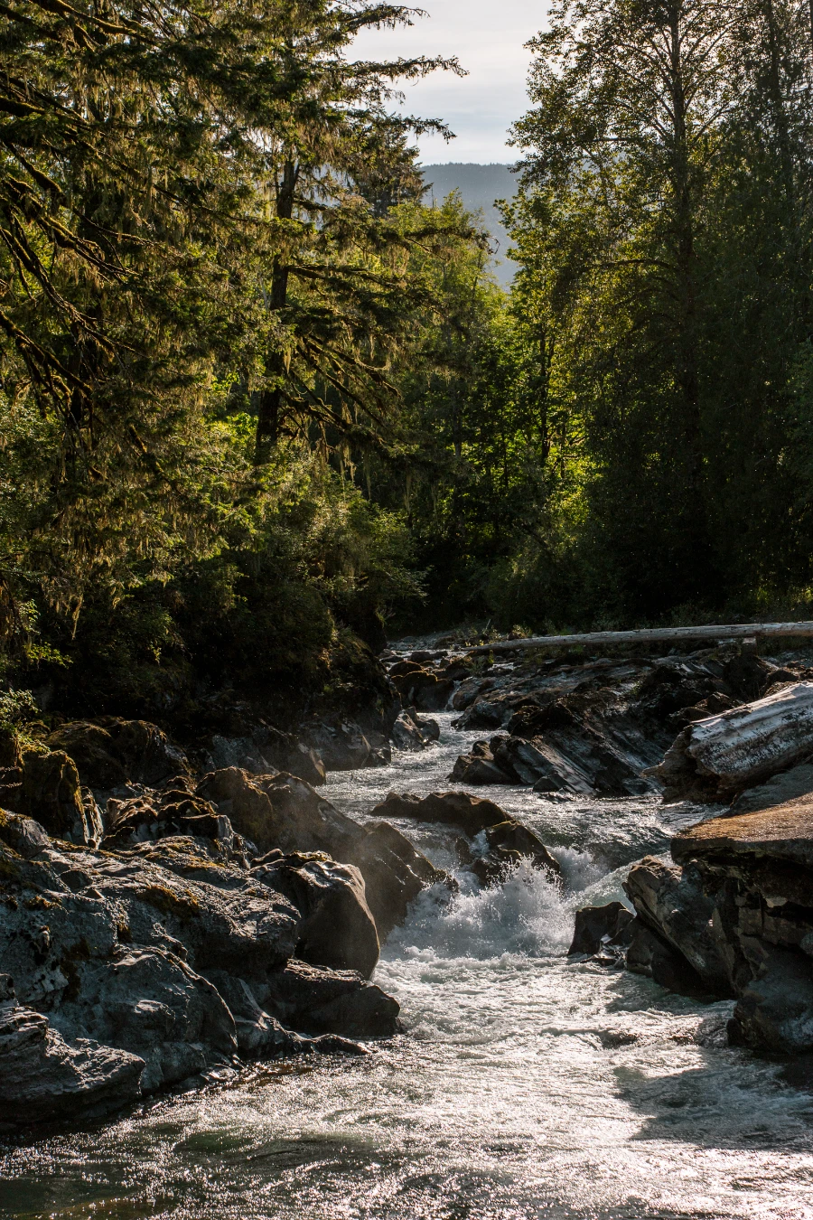 Powerful frothy water pours over several levels of a wide river