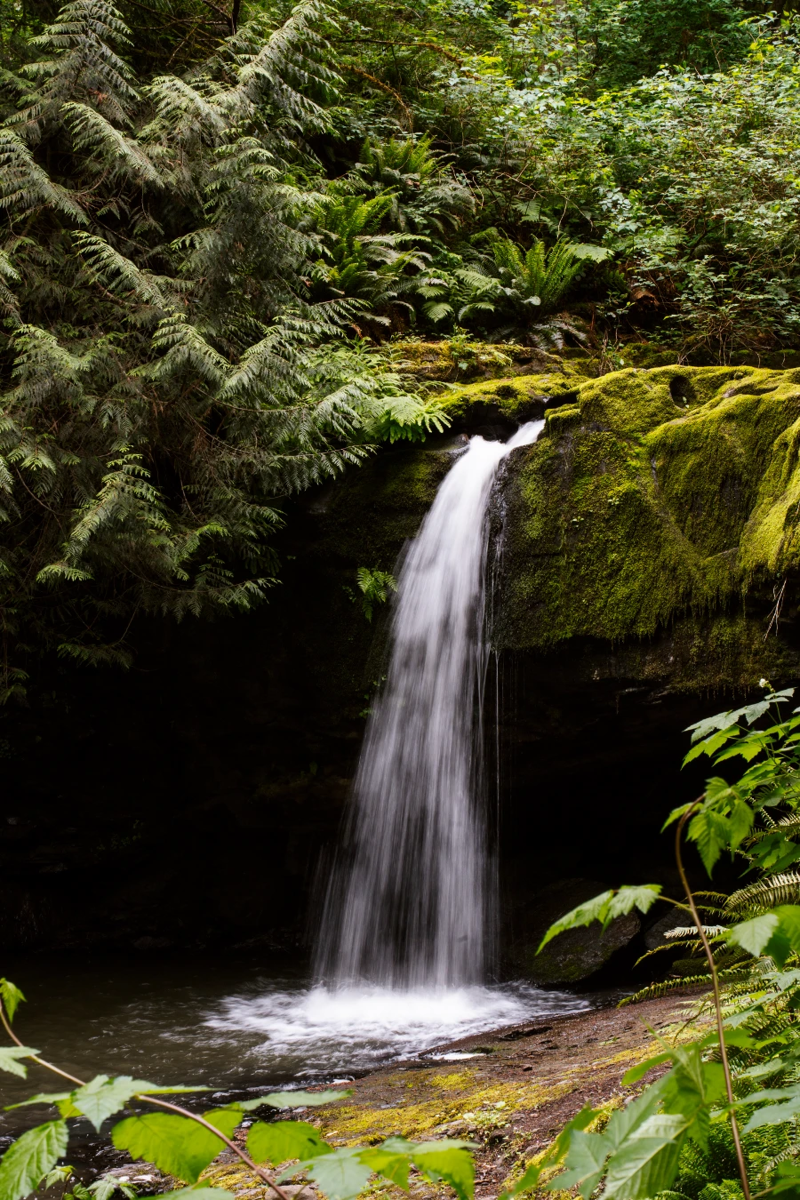 A waterfall pours over a mossy cliff into a shallow pool