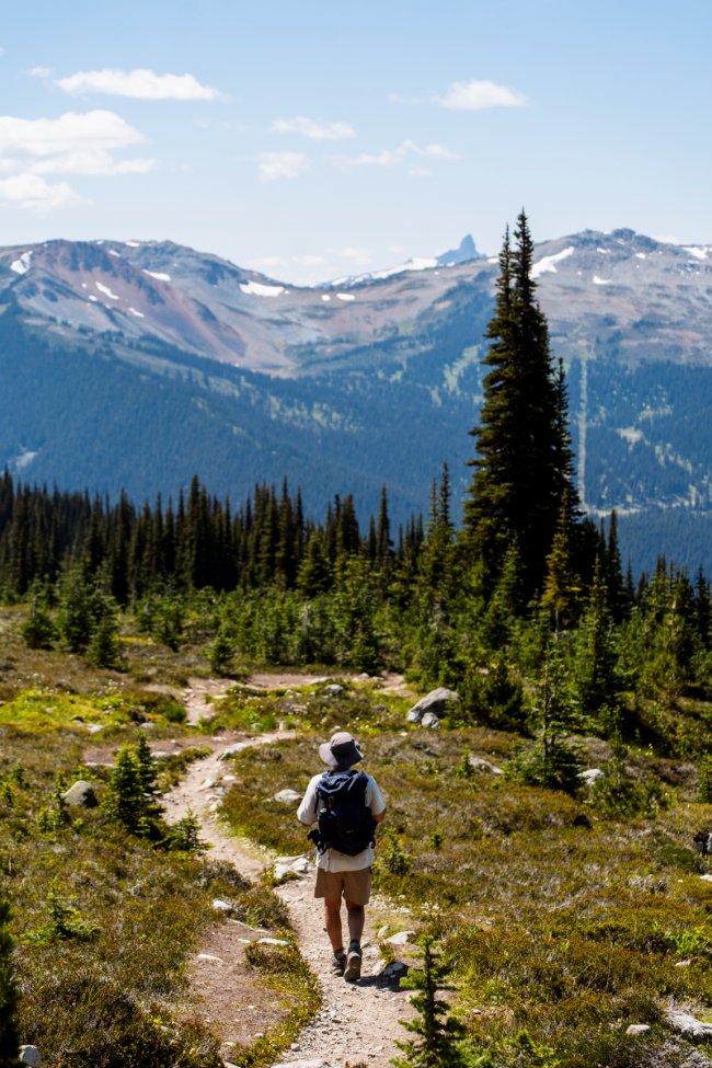 Hiking The Overlord Trail In Whistler (2026 Local Guide)