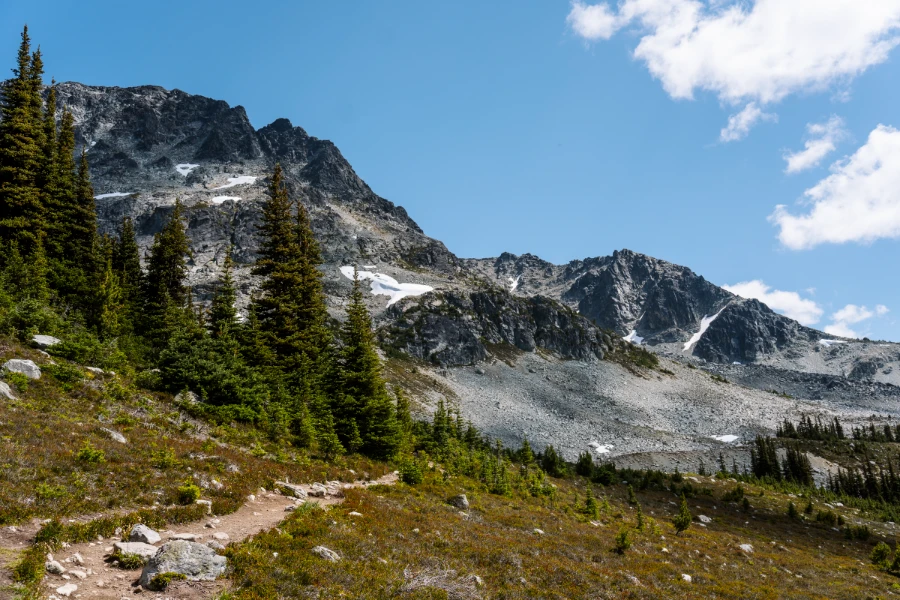 A narrow dirt path running along the slopes of the Blackcomb Alpine