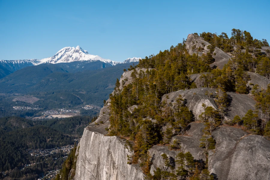 Several small trees growing around the granite cliffs at the second peak of Stawamus Chief