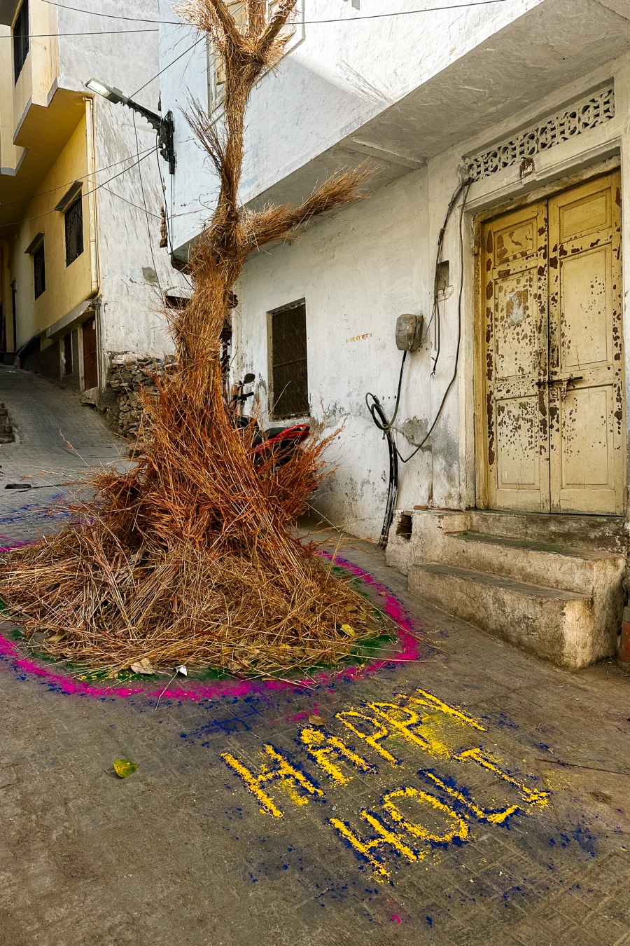 Image related to holi udaipur