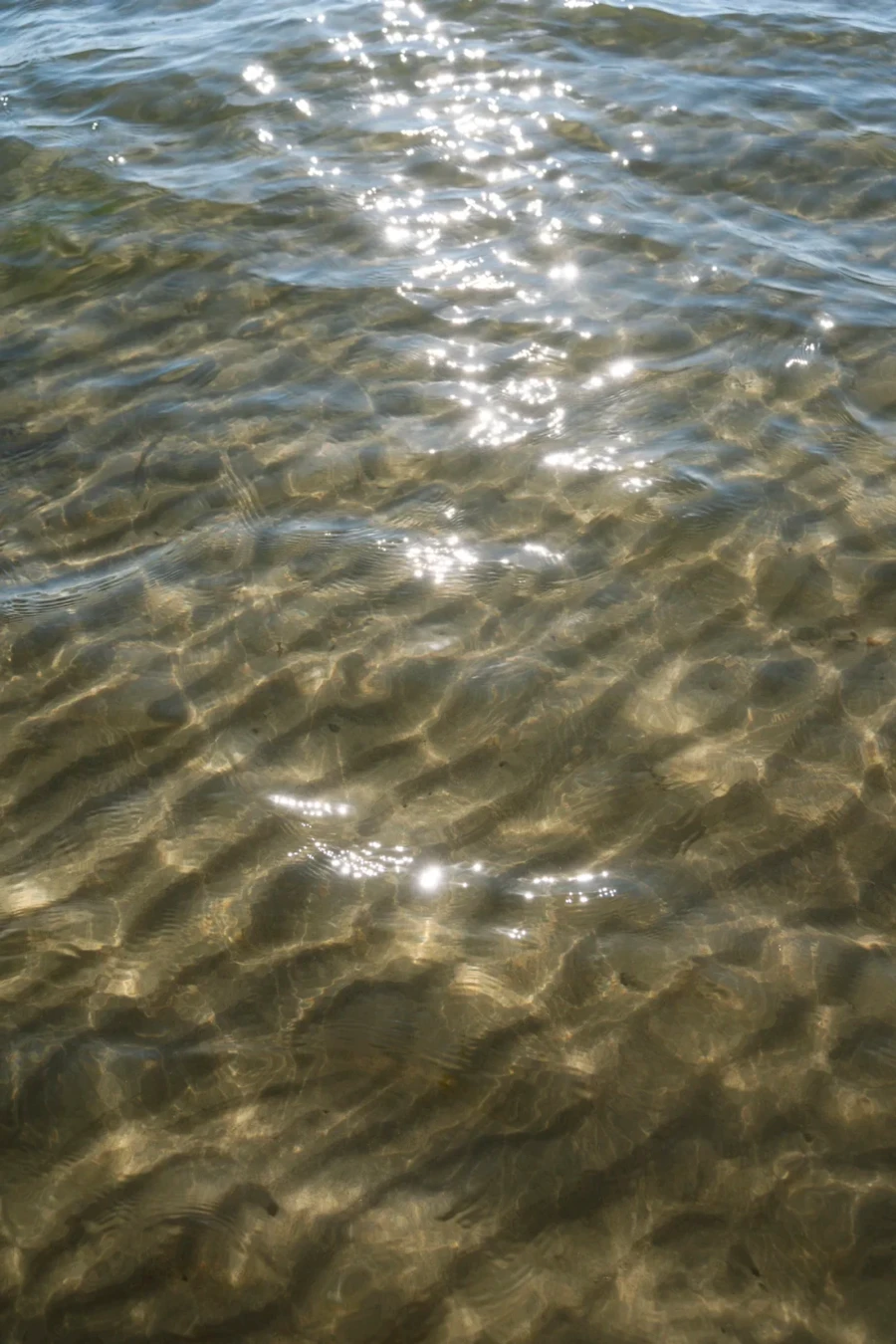 Image related to how to visit thormanby island bc