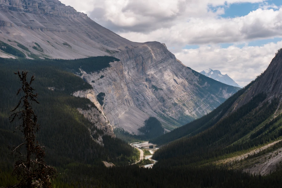 Image related to icefields parkway