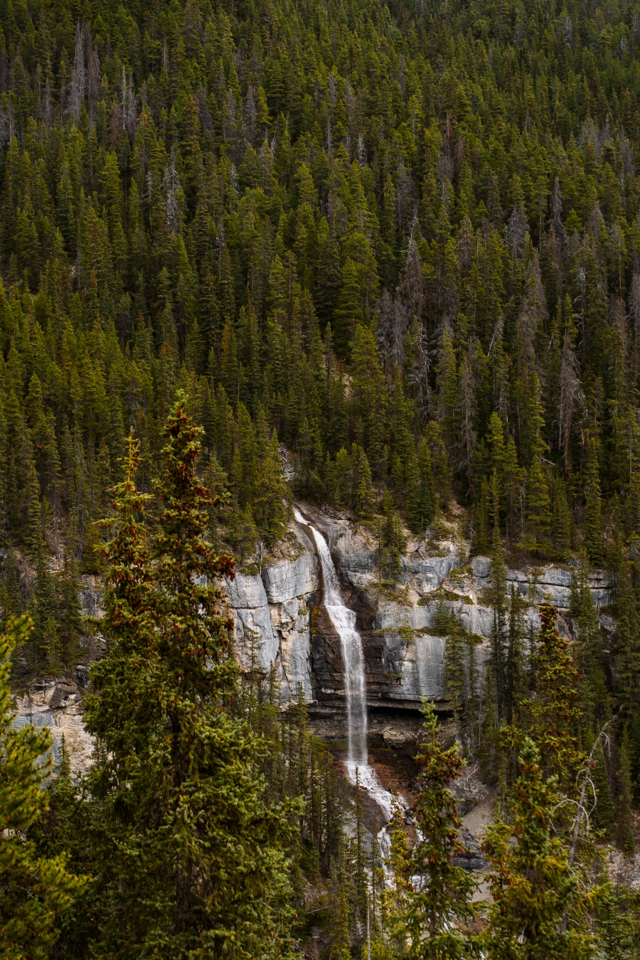 Image related to icefields parkway