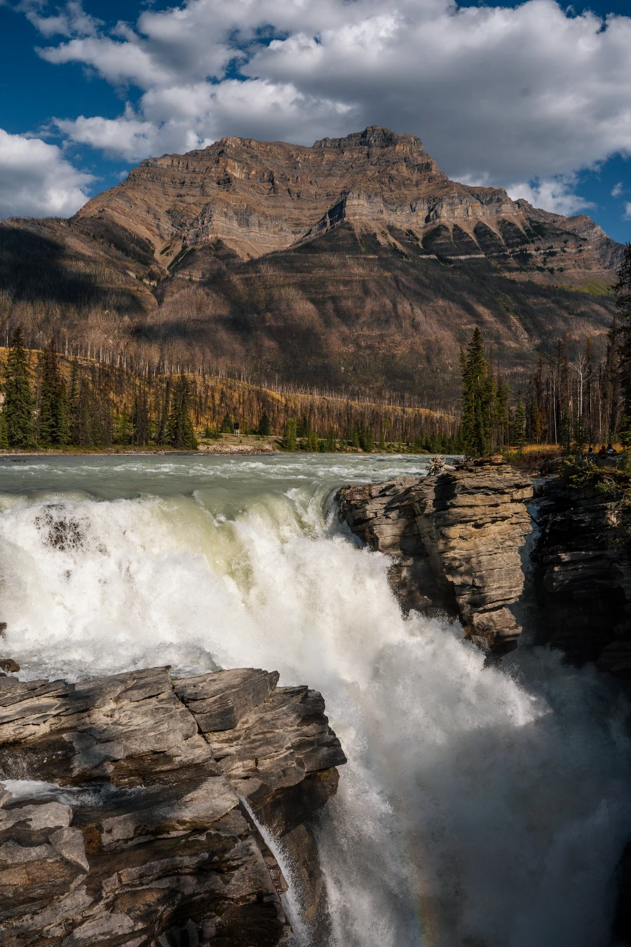 Image related to icefields parkway