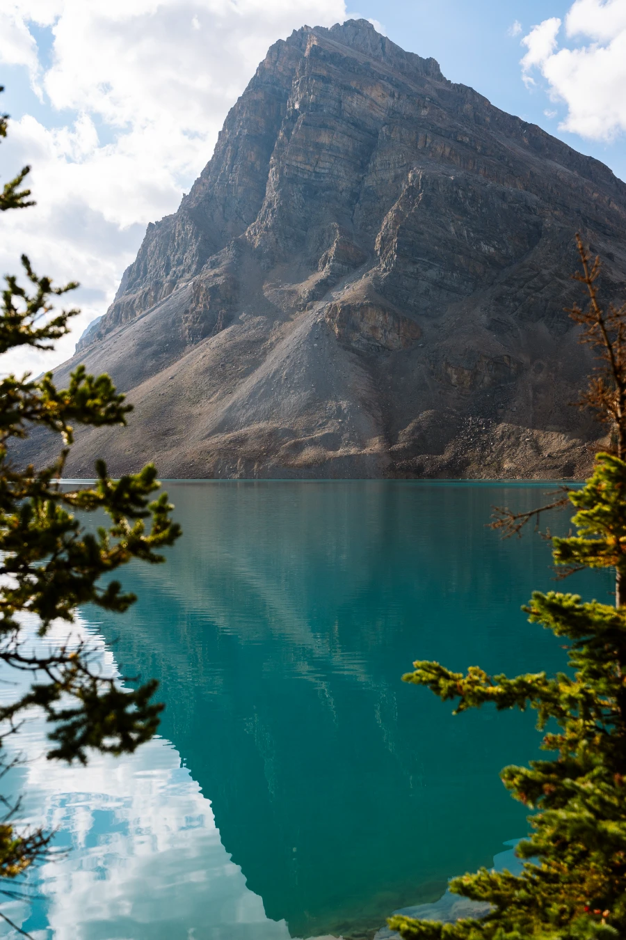 Image related to icefields parkway