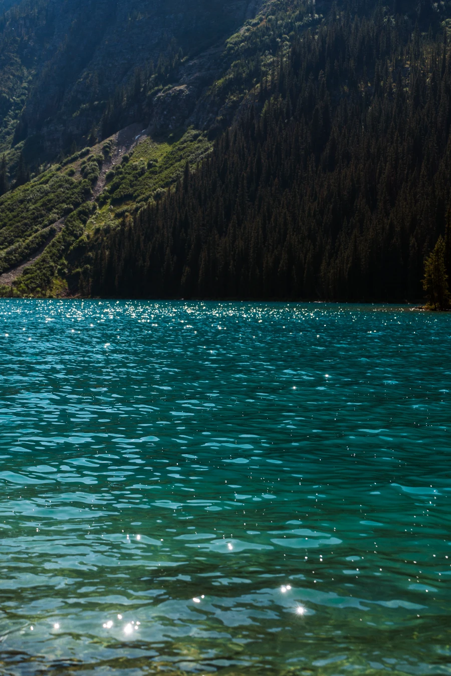 Image related to icefields parkway