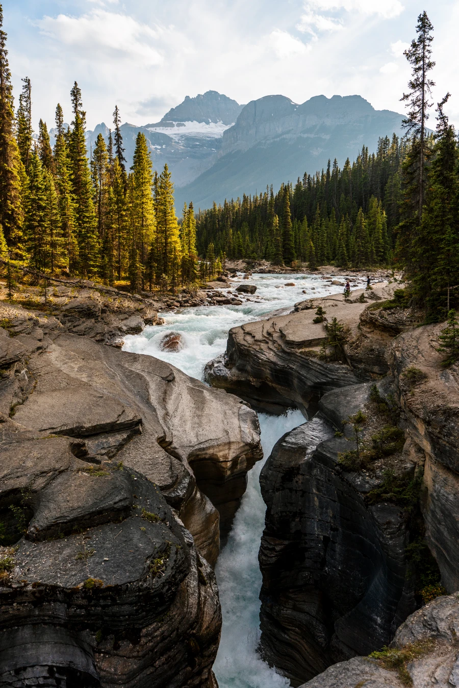 Image related to icefields parkway