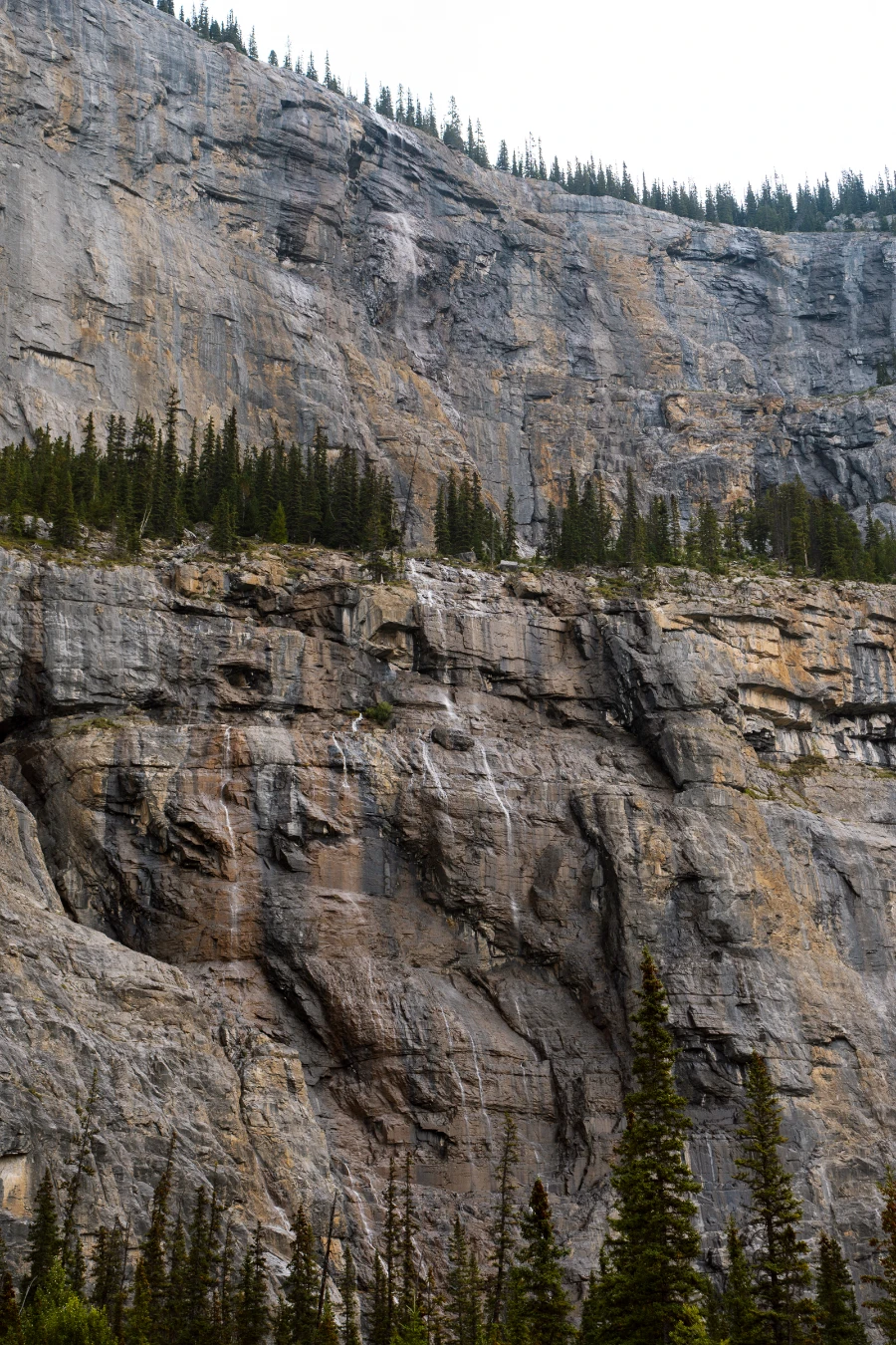 Image related to icefields parkway
