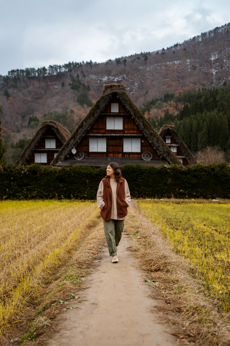Is Shirakawago Worth Visiting: view of the village from above