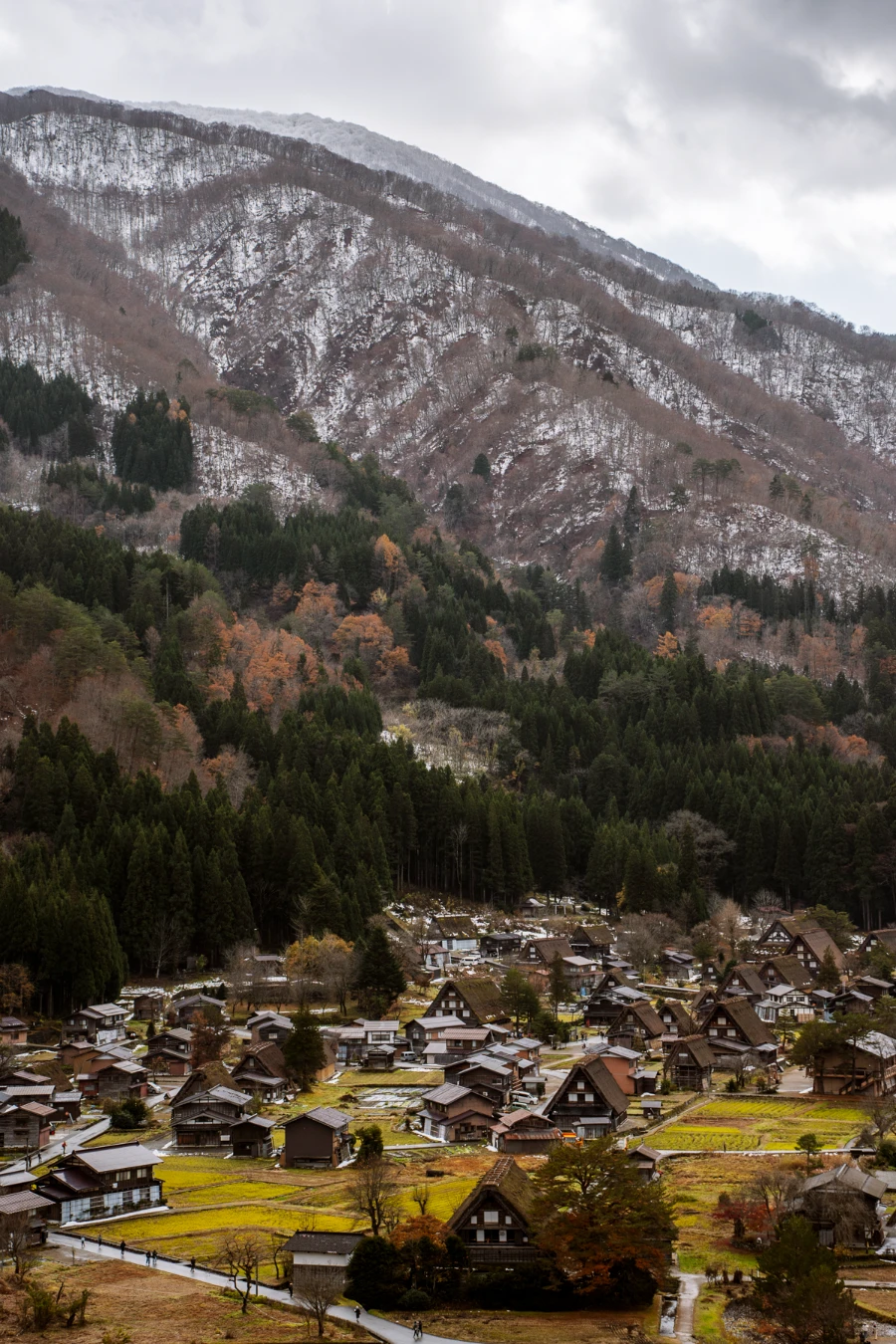A collection of traditional Japanese homes in front of a snowy mountain