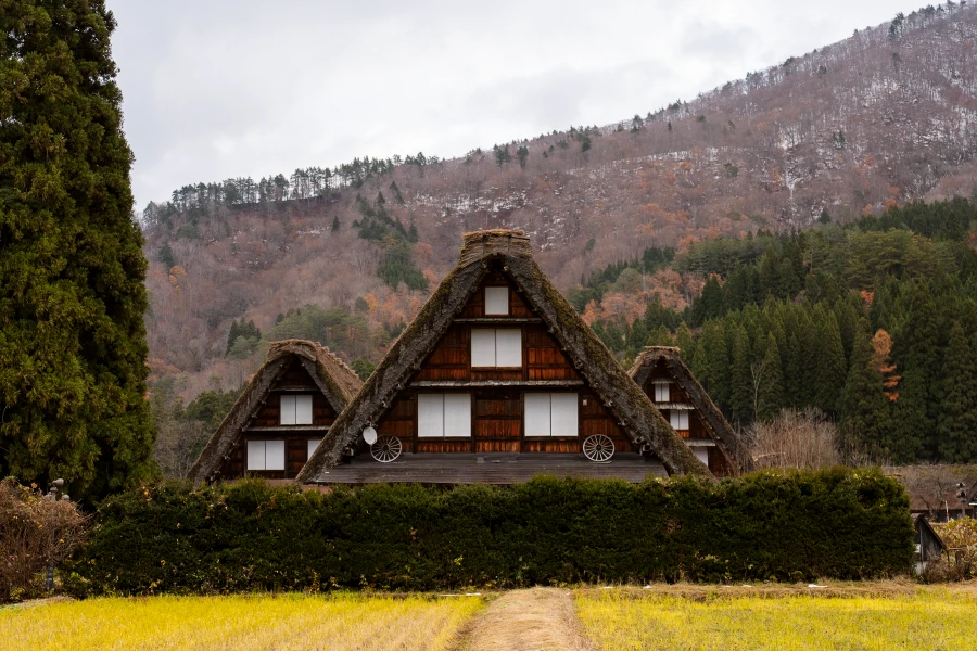 steep thatched-roof farmhouses scattered across a mountain valley.