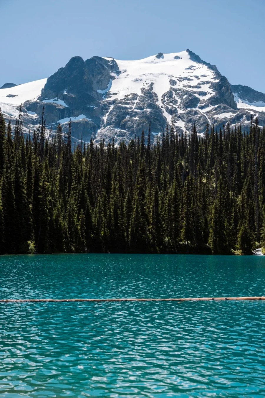 A floating log in the clear waters of Middle Joffre Lake