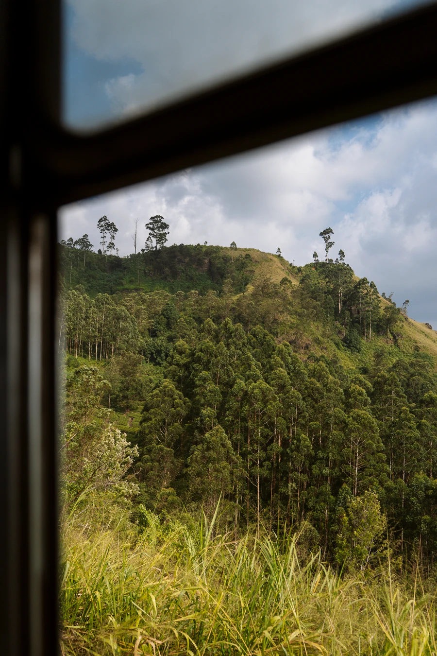 Image related to kandy ella train