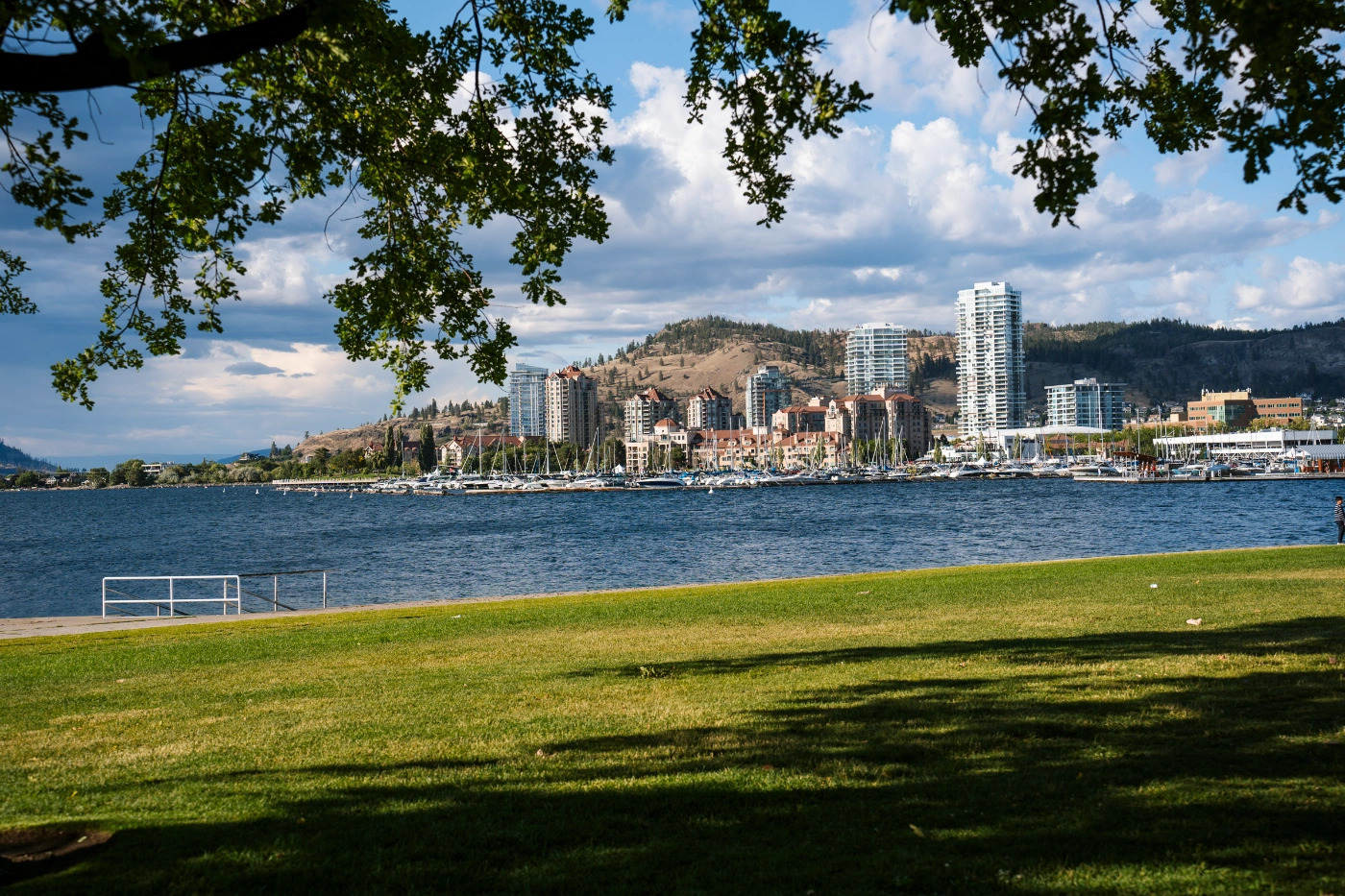 Tree leaves hanging down and a manicured lawn below frame the cityscape of Kelowna across the water of Lake Kelowna