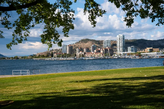 Tree leaves hanging down and a manicured lawn below frame the cityscape of Kelowna across the water of Lake Kelowna
