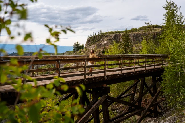 A man leaning on the wooden railing of a large wooden trestle that spans over a large canyon