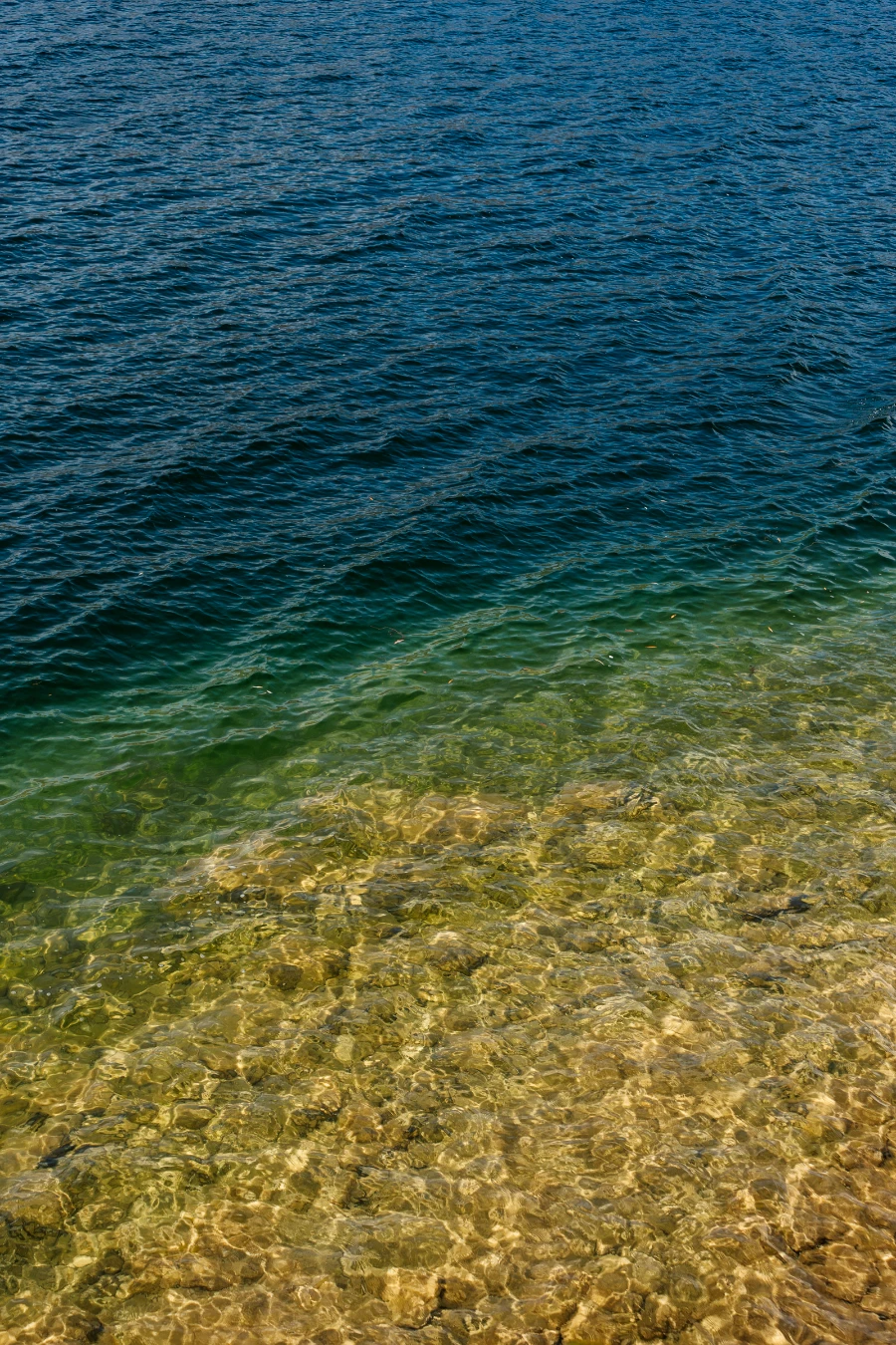 Shallow water glistens and glimmers in the afternoon sun