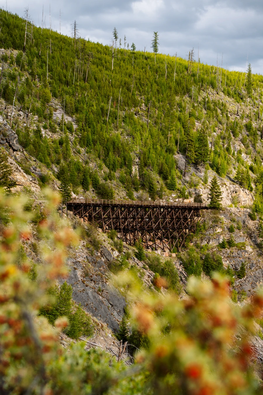 A large wooden trestle in the distance connects two parts of the Myra Canyon trail with a massive slope dotted sparsely with trees rising behind it