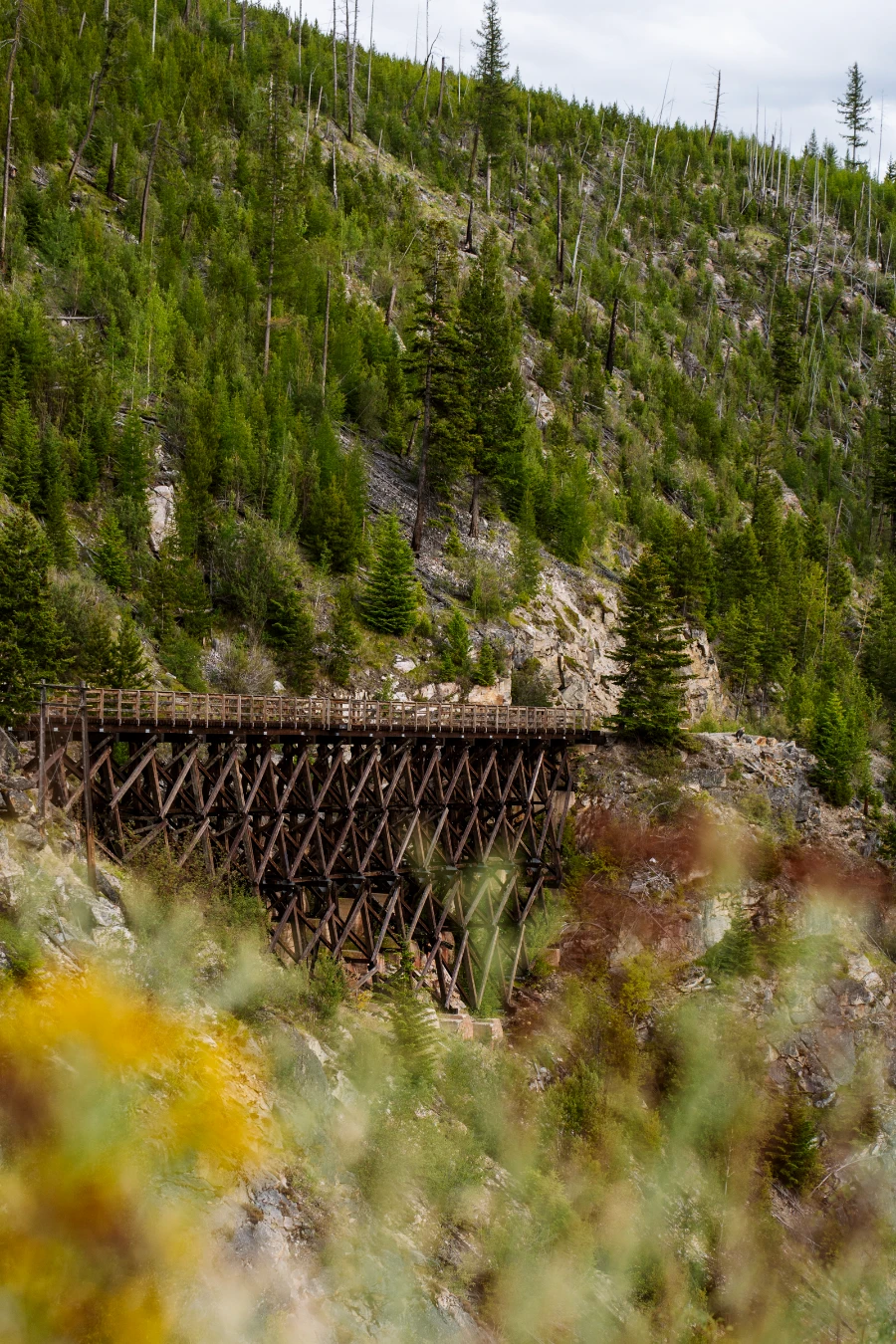 A large wooden trestle in the distance connects two parts of the Myra Canyon trail with a massive slope dotted sparsely with trees rising behind it