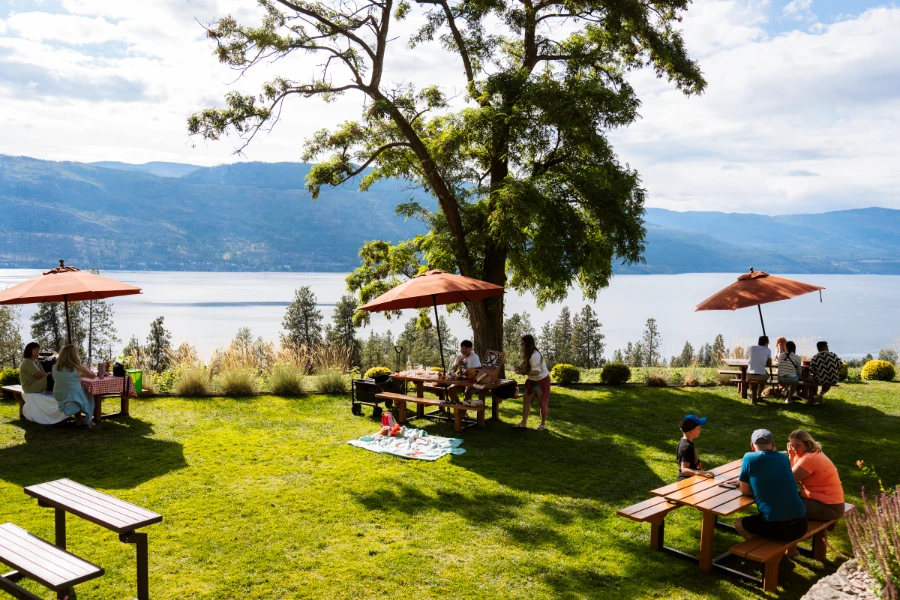 Several picnic tables with families sat around them are scattered around a well-maintained lawn that is perched high above the calm waters of Okanagan Lake
