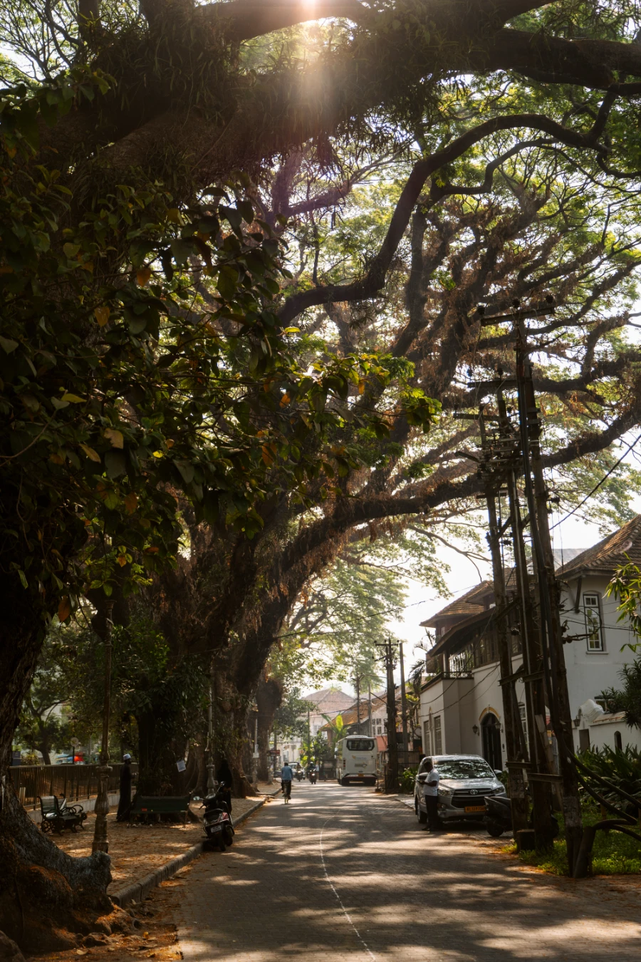Image related to kochi