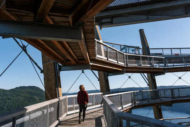 A man walking along a spiral boardwalk on the Malahat Skywalk in Cowichan Valley