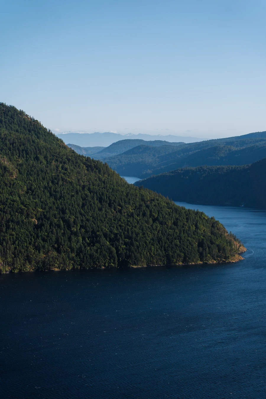 A large forested mountain rising out of the Sannich Inlet