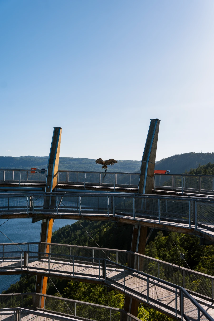 The top 3 levels of the sloped spiral boardwalk of the Malahat Skywalk