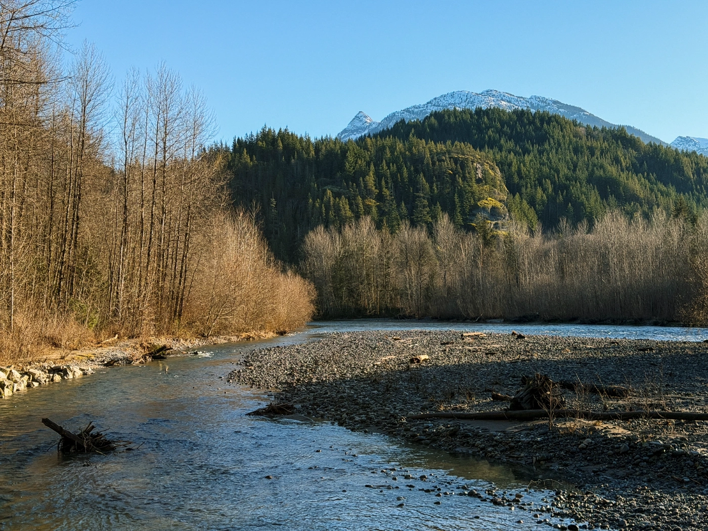 A wide river meanders between two shores lined with trees with a forested mountain in the distance