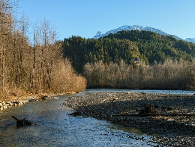 Mamquam Spawning Trail, Squamish (2026 Local Guide)