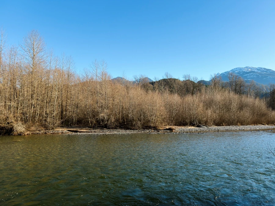 A wide calm river passes a dry shore covered in dry brush