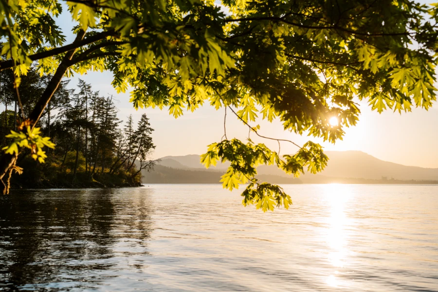The sun is low in the sky casting a warm glow on calm water and mountains in the distance