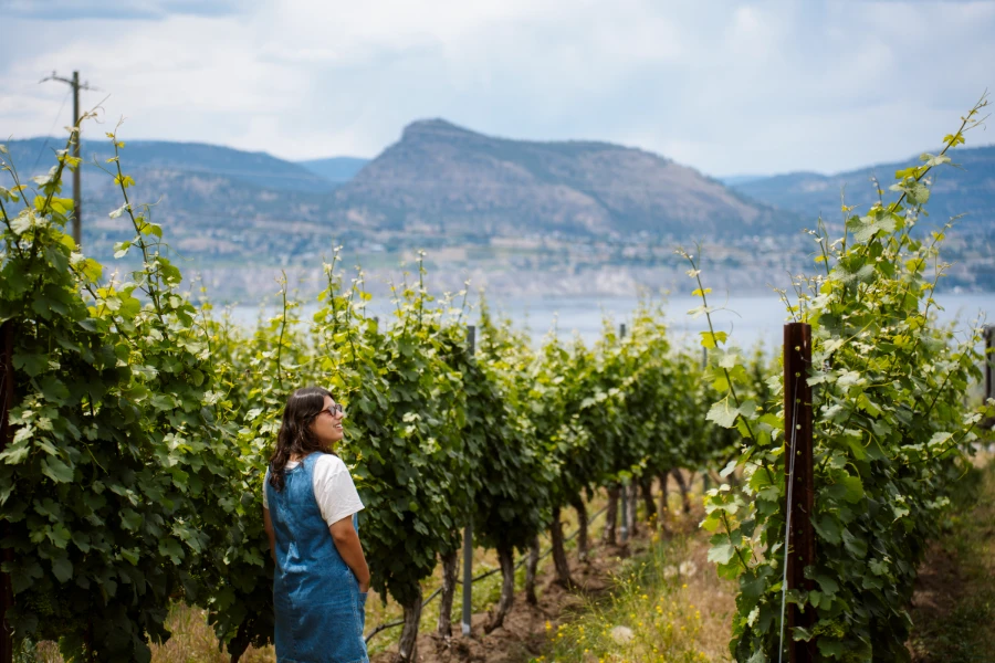 A woman stands in a row amongst a large orchard that leads down the hill to Okanagan Lake