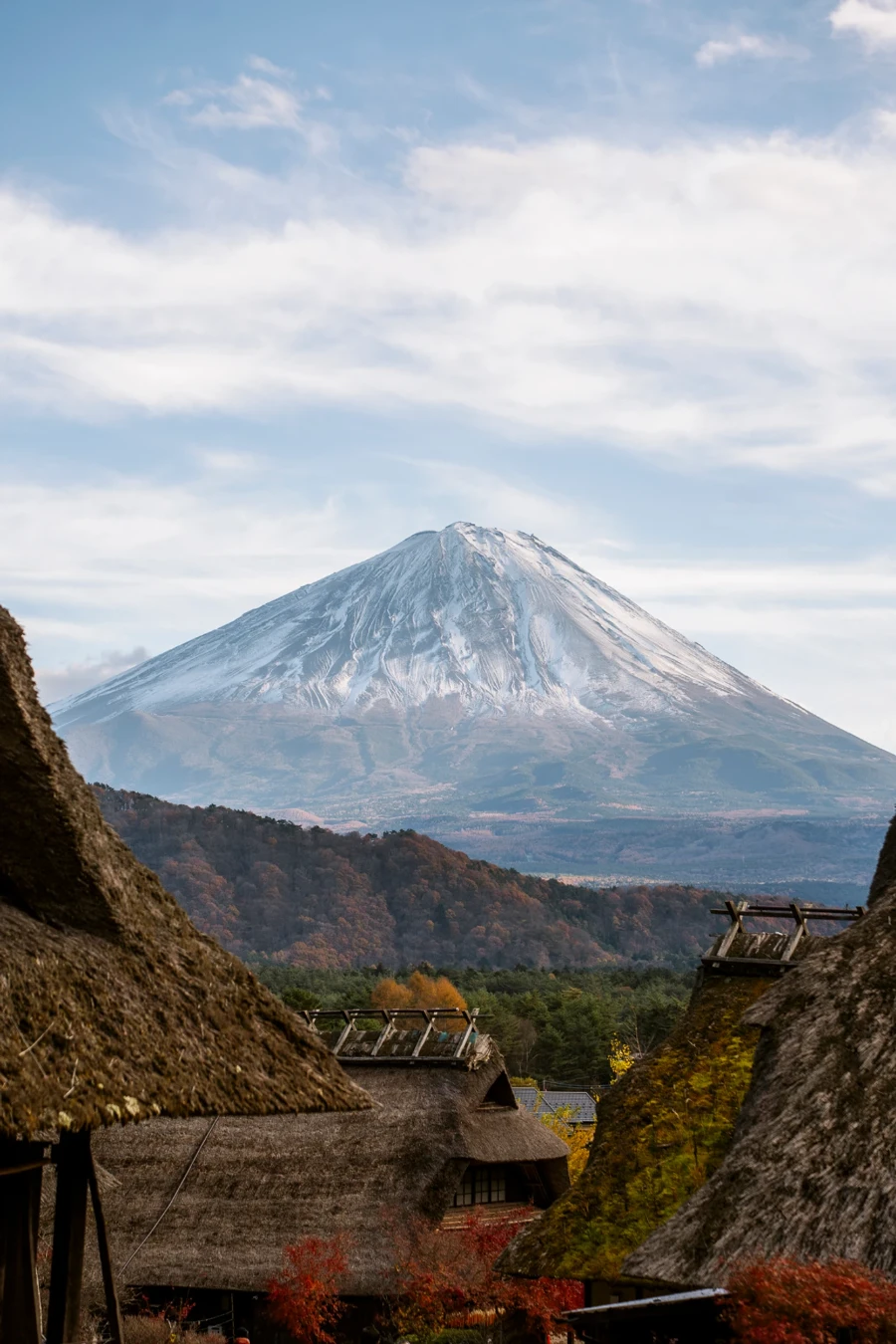 Rows of thatched roofs lead to a forest and Mt Fuji beyond