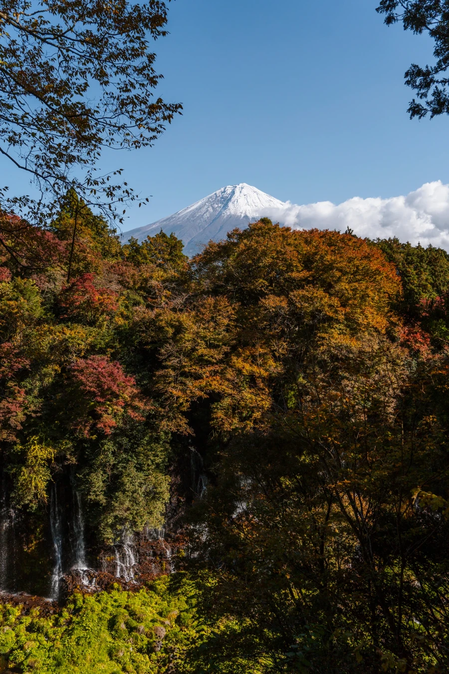 Several cascades of water fall into a mossy pool surrounded by fall foliage at Shiraito Falls, Japan