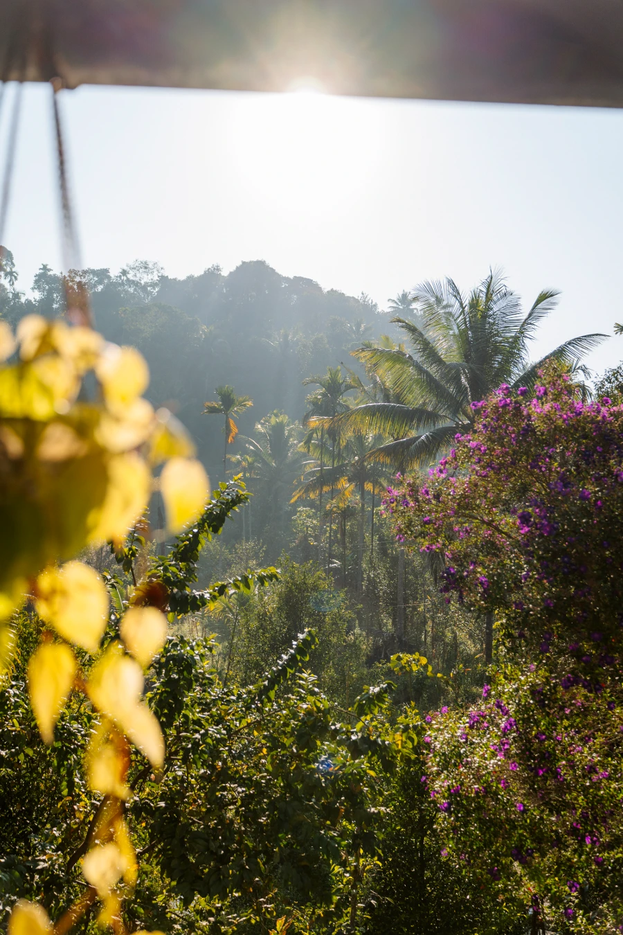 Image related to munnar
