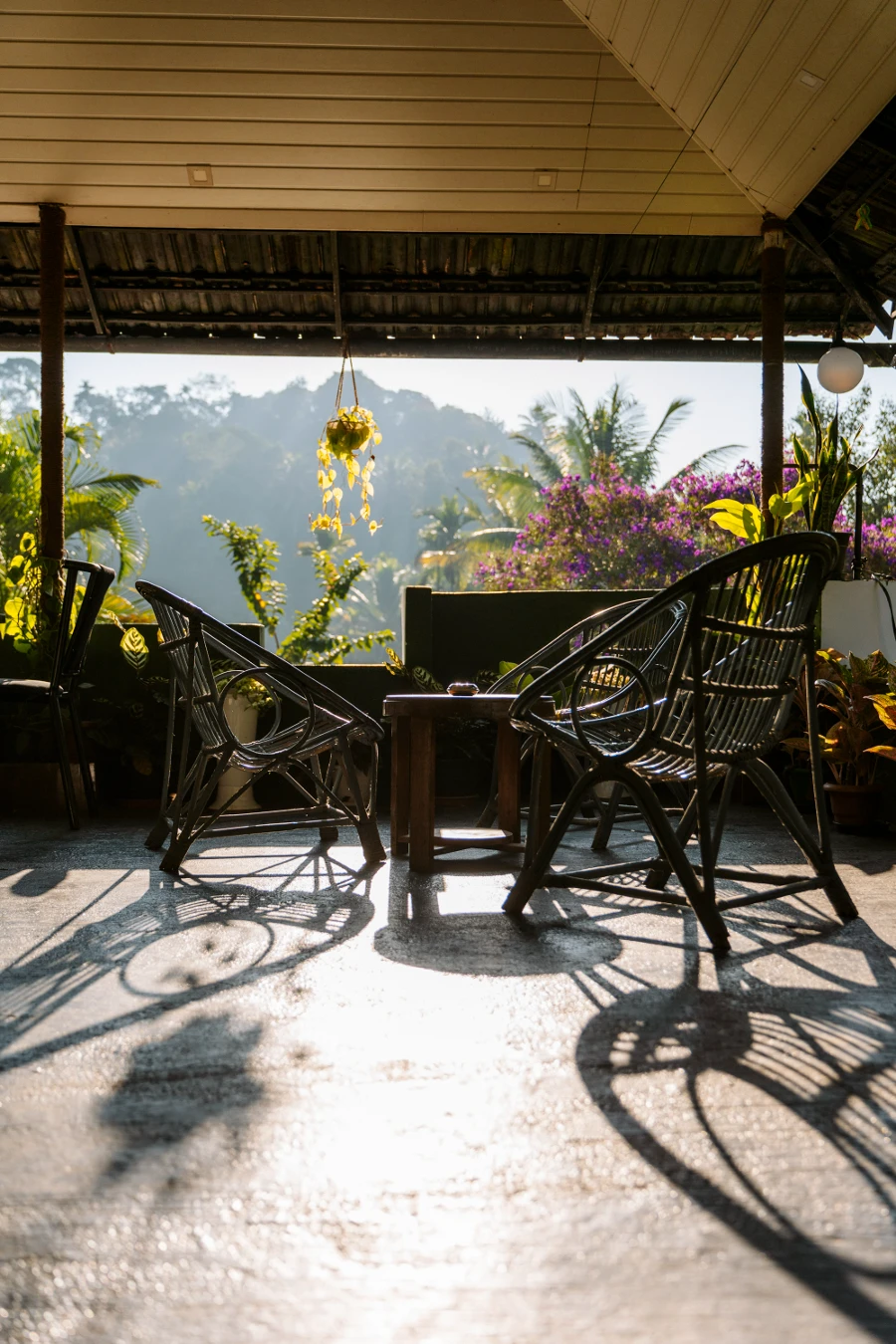 Image related to munnar