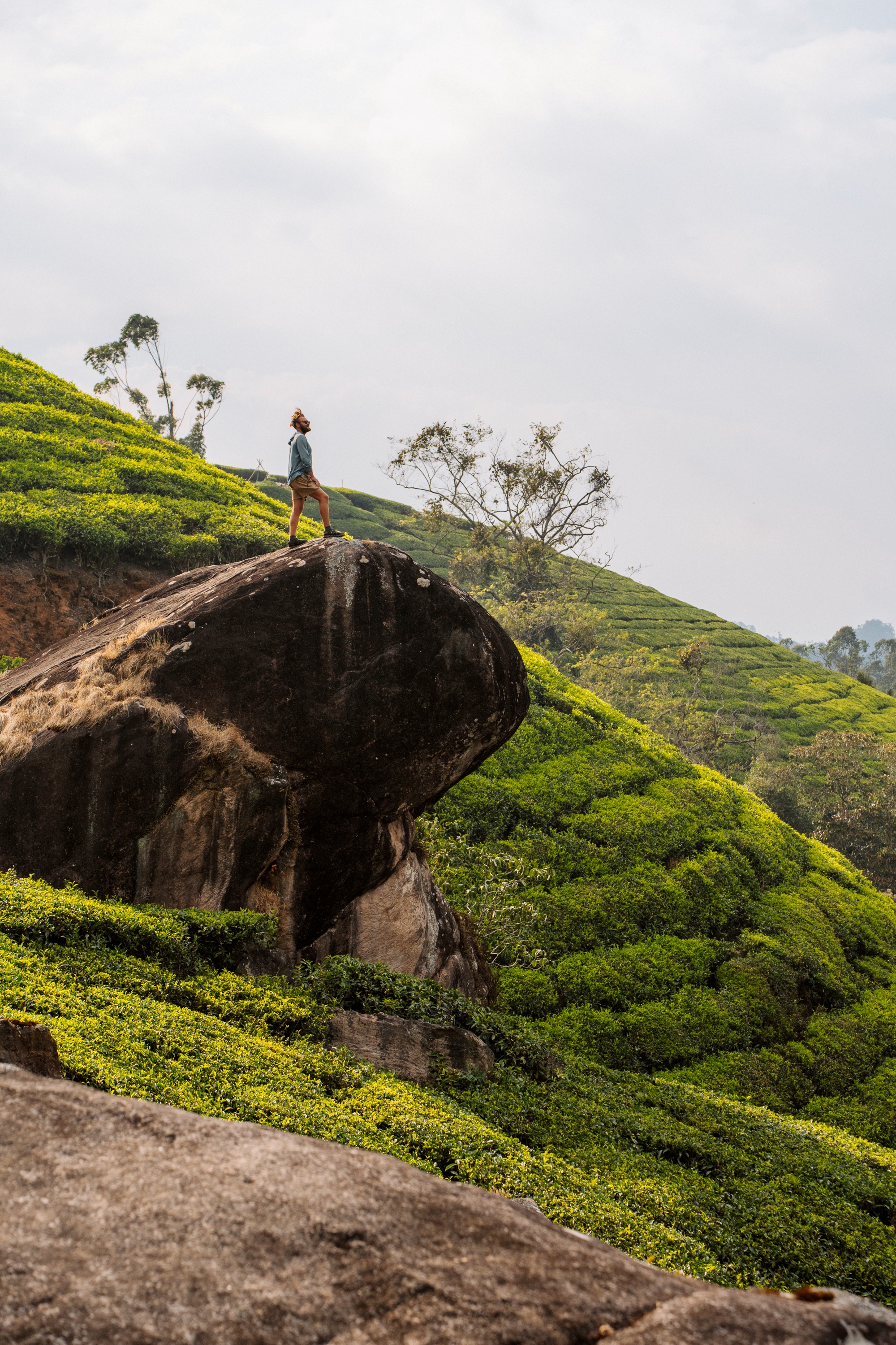 The Complete Munnar Travel Guide: Getting There, What to Do & Where to Stay"