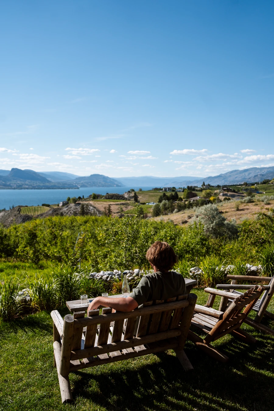 A man sits on a rustic-style wooden bench, next to two similarly styled chairs at Creek & Gulley, looking down at a large orchard that stretches down a large hill all the way off to a distant lake.